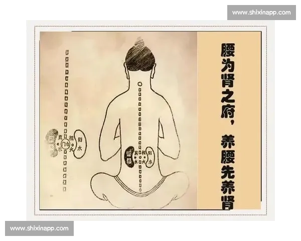 以腰部为核心探讨身体健康的重要性及改善方法