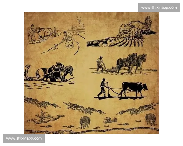 民间分析视角下的社会变迁与文化传承探索