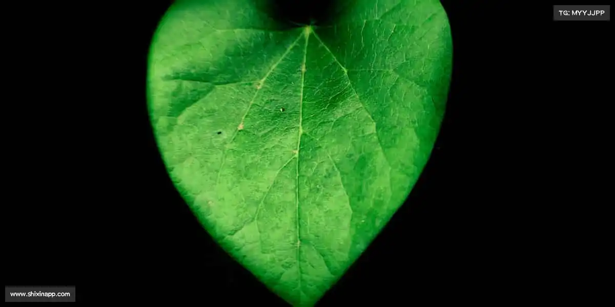 BG大游🥋从新手到高手，从兴趣到热爱！首页干货，陪你走好每一步～