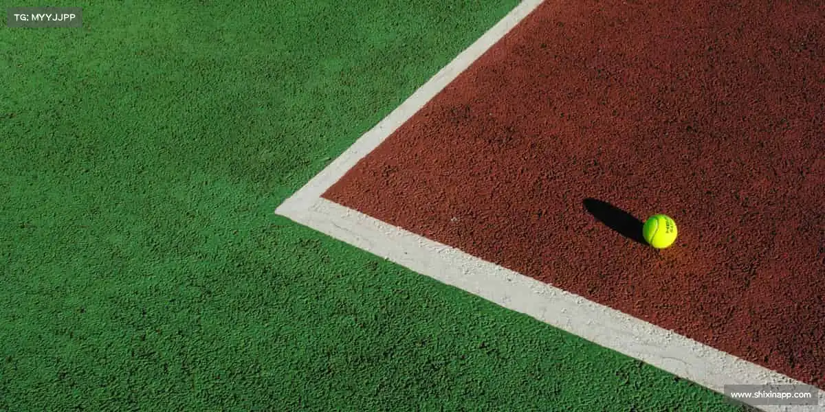 行业领先的理由